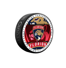 Puk Medallion Florida Panthers Blistr