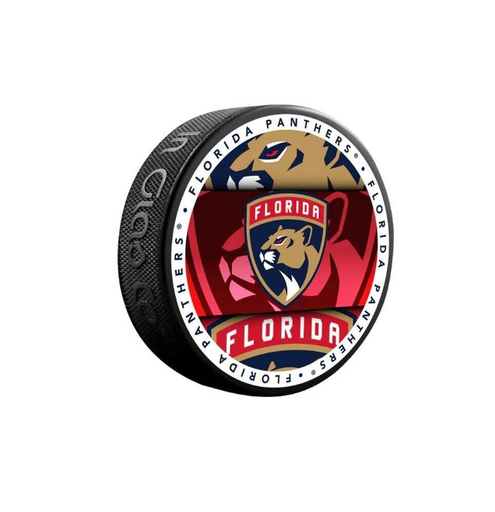 Puk Medallion Florida Panthers Blistr