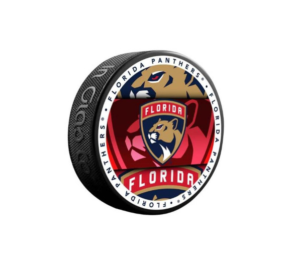 Puk Medallion Florida Panthers Blistr