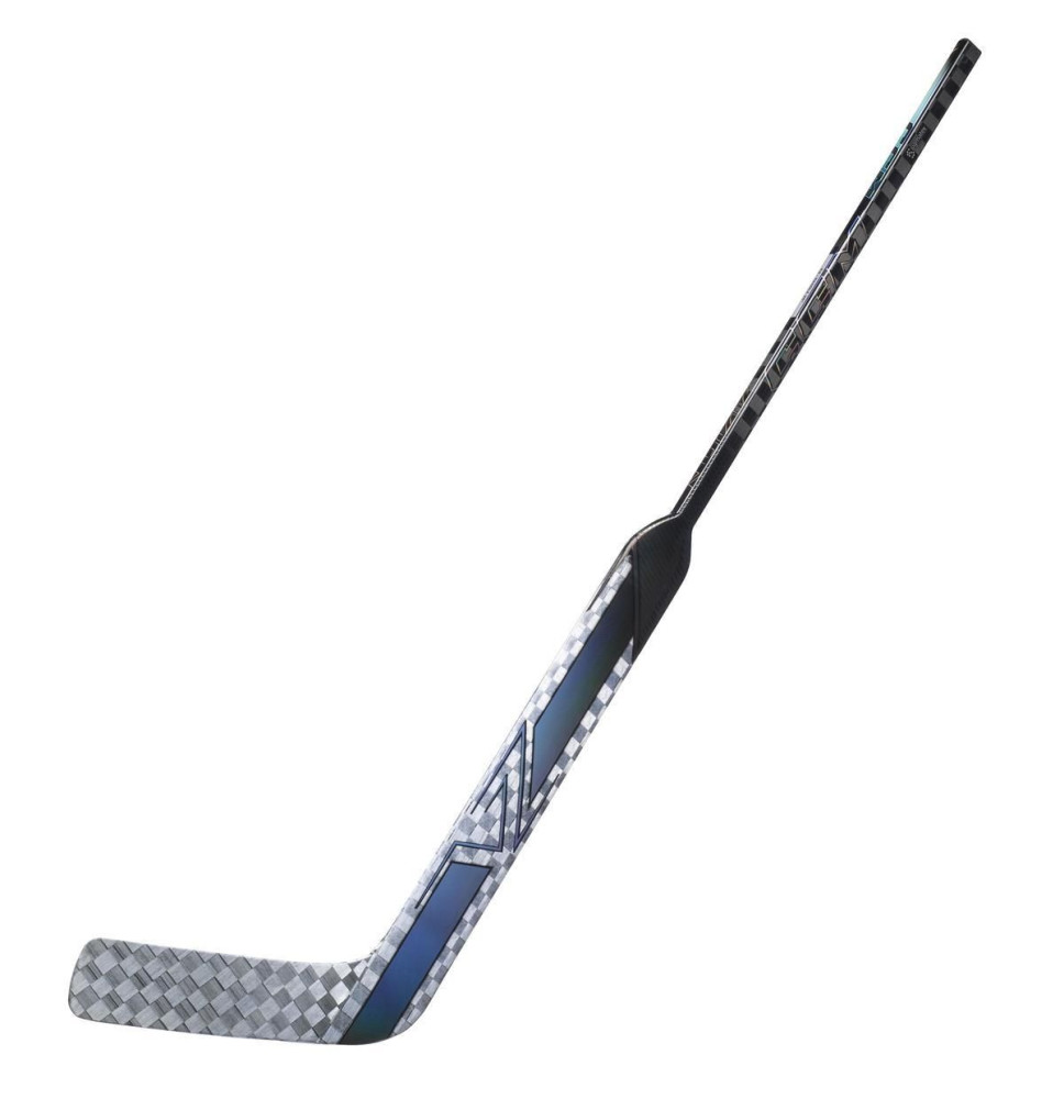 Hůl CCM Vizion SR P4/24