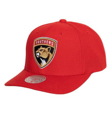 Kšiltovka Team Ground 2.0...