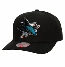 Kšiltovka Team Ground 2.0...