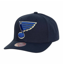 Kšiltovka Team Ground 2.0...