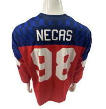 Dres CZE 2026 SR Nečas