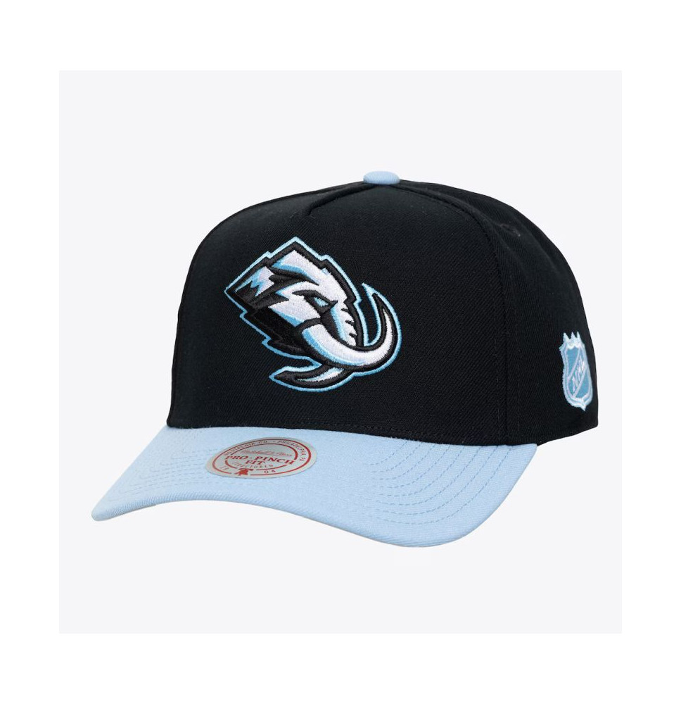 Kšiltovka Legendary Home PRO Vintage Utah Mammoth SR