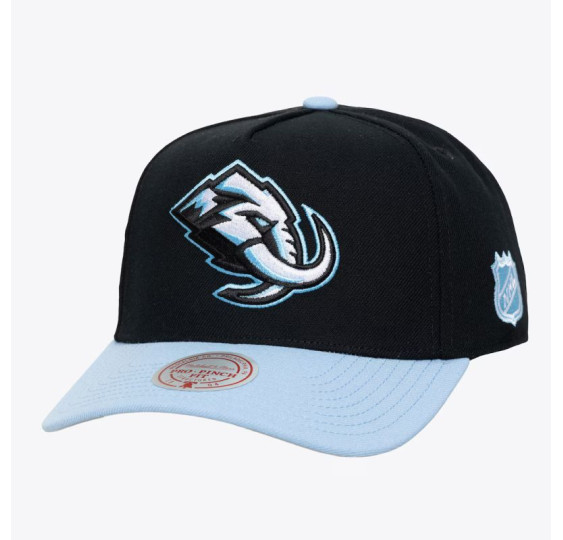 Kšiltovka Legendary Home PRO Vintage Utah Mammoth SR