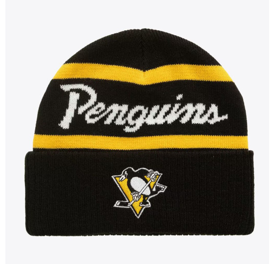 Kulich Coach Pittsburgh Penguins SR