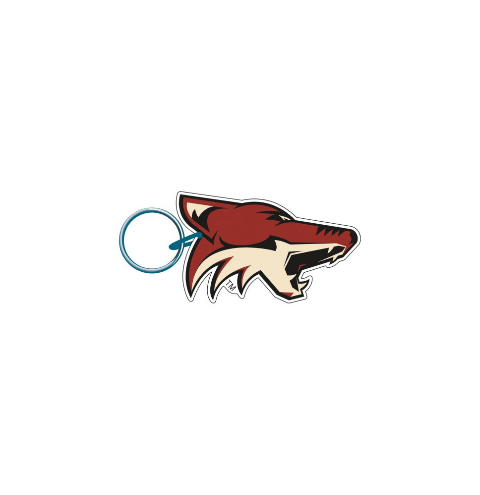 Přívěšek Premium Acrylic Arizona Coyotes