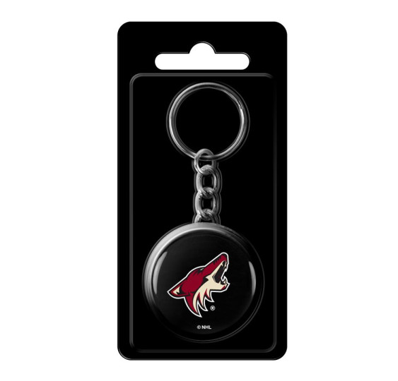 Minipuk Puck Dome Arizona Coyotes