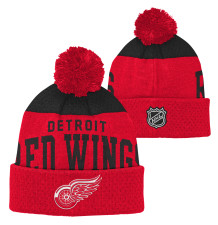 Kulich Stetchark Detroit Red Wings YTH